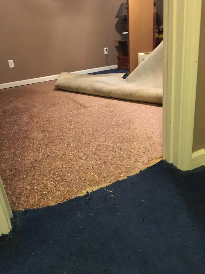 Carpet pad removal revealing water damage during Water Mitigation Services in Elko