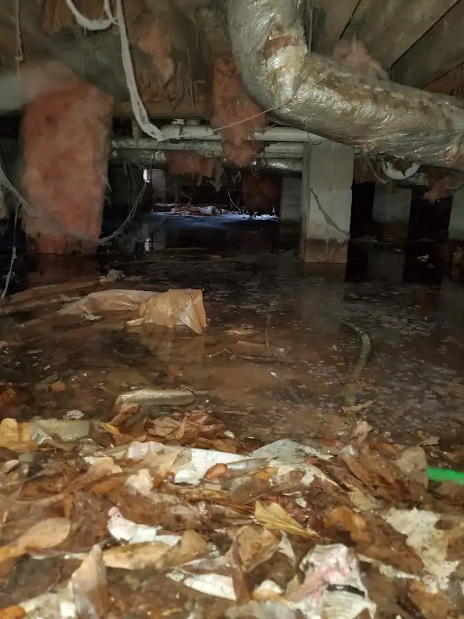 Crawl space flood assessment for Commercial Water Damage Restoration in Elko