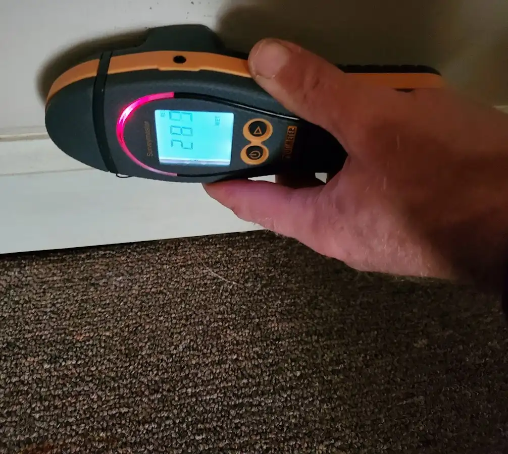 Moisture detection at baseboard during Burst Pipe Cleanup in Elko